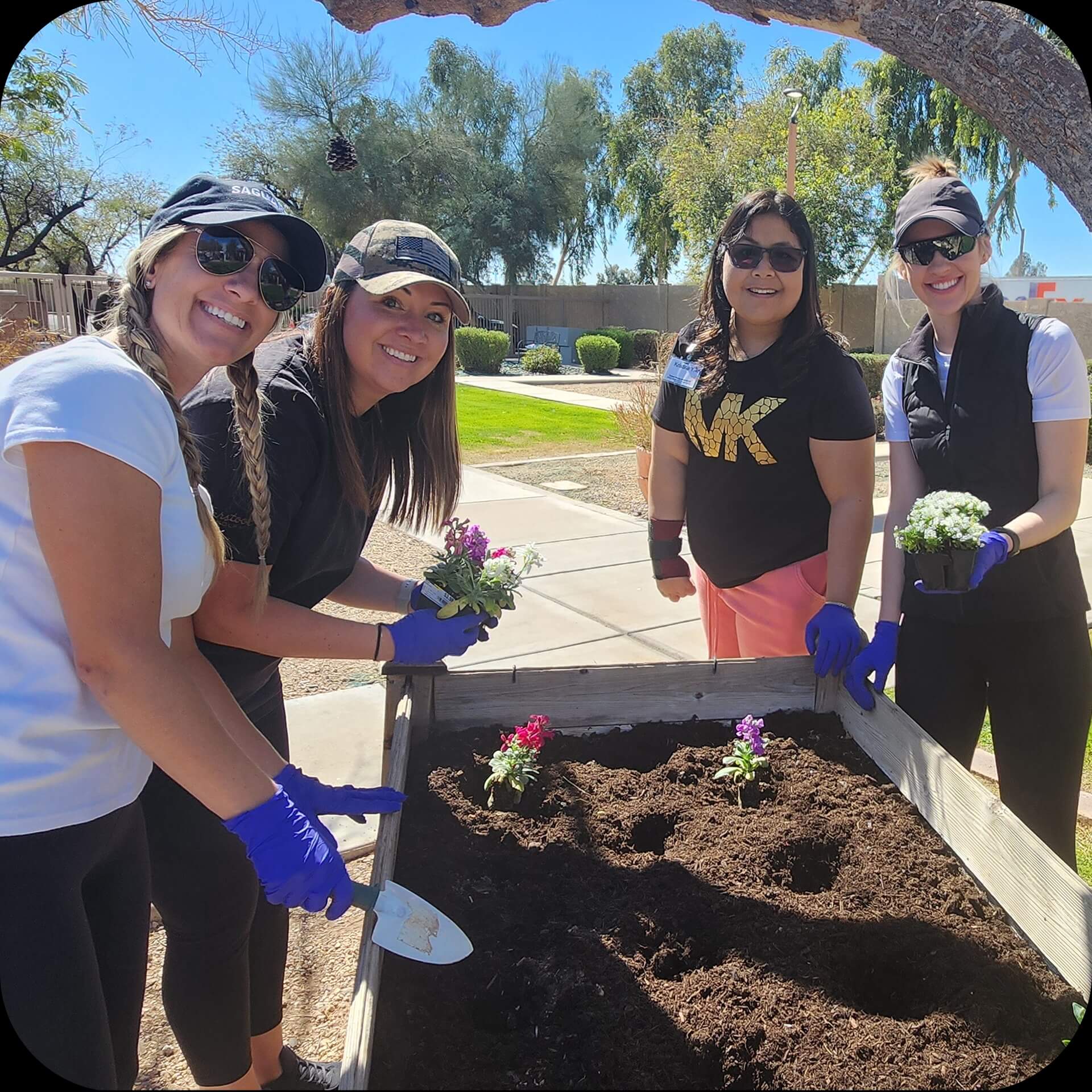 A group of volunteer planting a garden bed